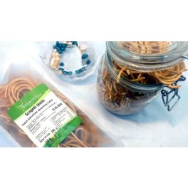   Balance Food Paläolithische Trockene Nudeln Aus Sesammehl, Spaghetti 250 g