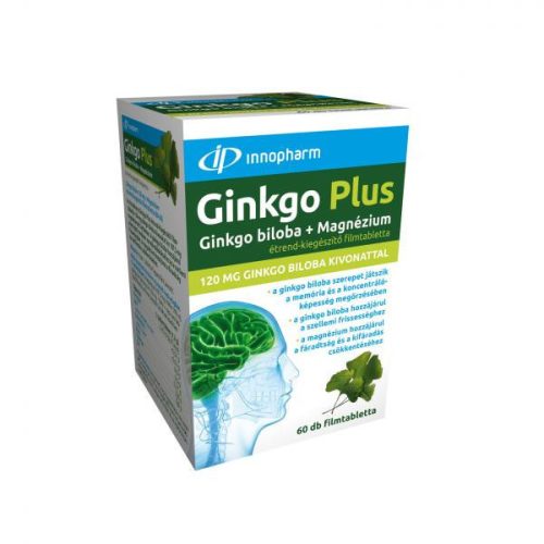 Innopharm Ginkgo Biloba 100 mg + Magnesium Kapsel 60x