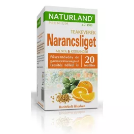 Naturland Birne-Zitronenmelisse Früchtetee 20 × 2 g